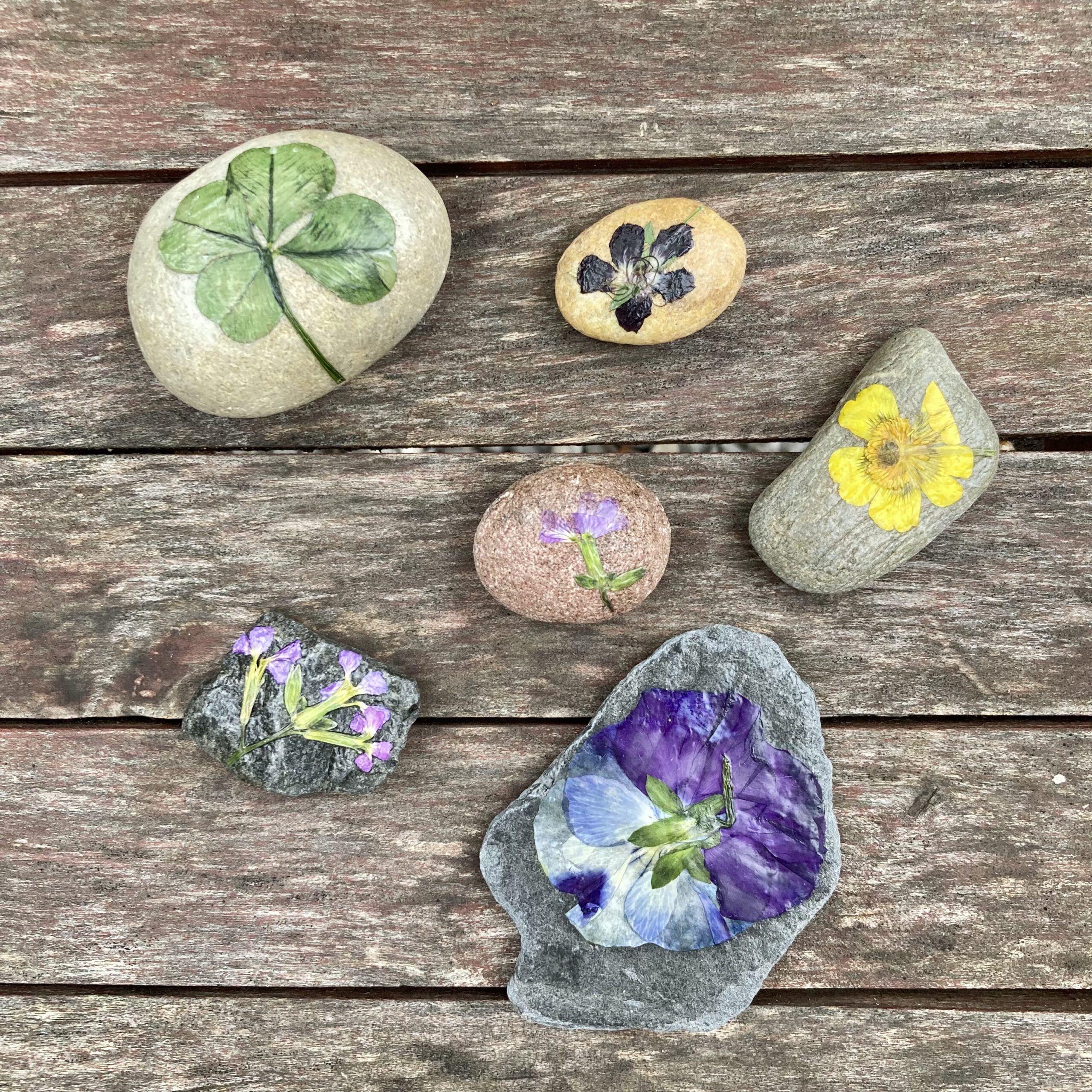 happy stones maken met gedroogde bloemen stenen versieren